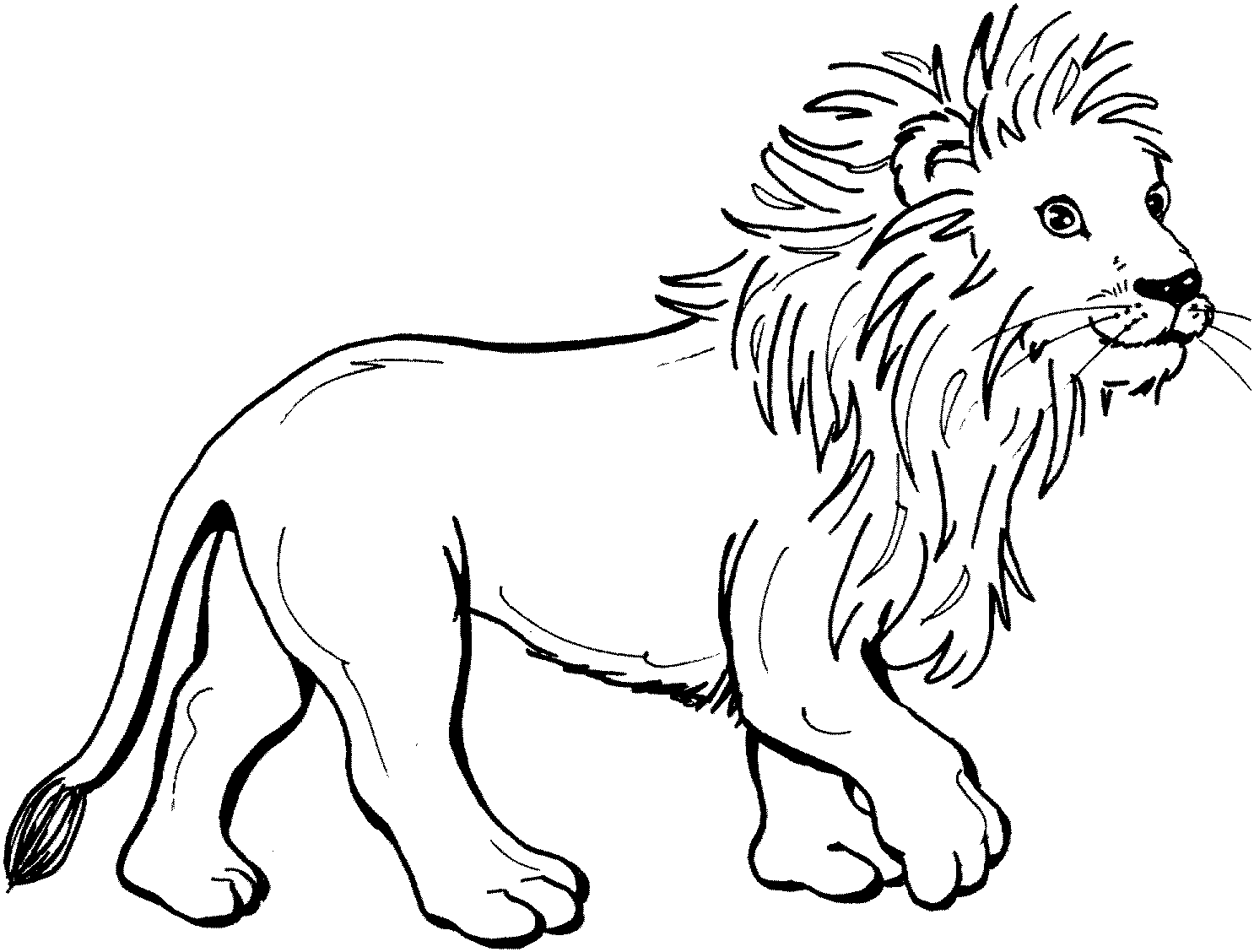 56 Unicorn Lion Coloring Pages To Print with Printable