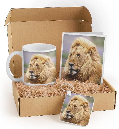 Lion Lover Gift Set